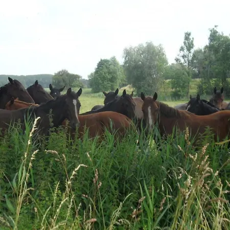 Idyllisches By Interhome 펜션 Oberndorf (Lower-Saxony)