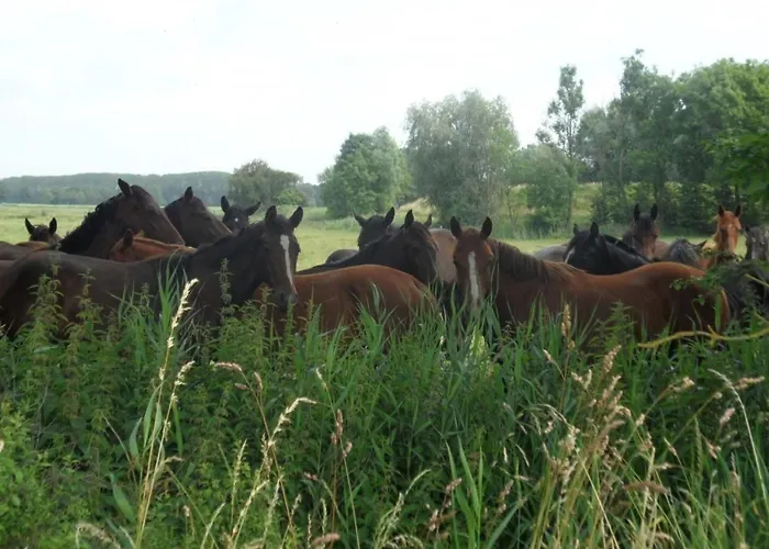 Idyllisches By Interhome 펜션 Oberndorf (Lower-Saxony)